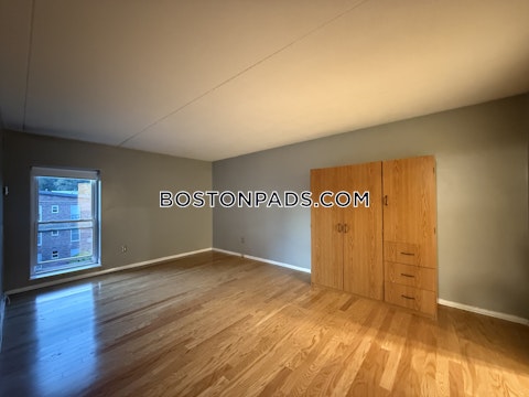 Broadlawn Park Boston photo 10