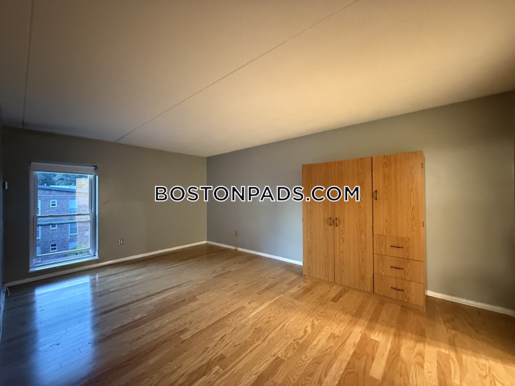 Broadlawn Park, Boston