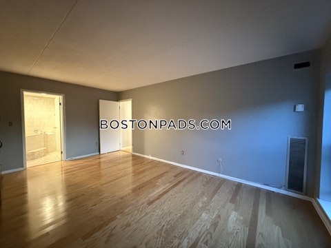 Broadlawn Park Boston photo 8