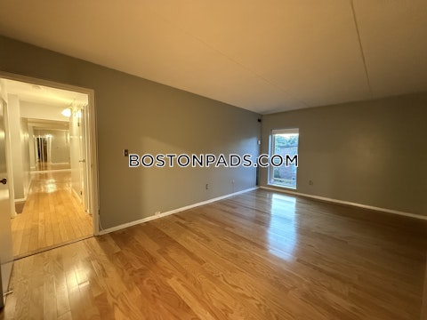 Broadlawn Park Boston photo 22