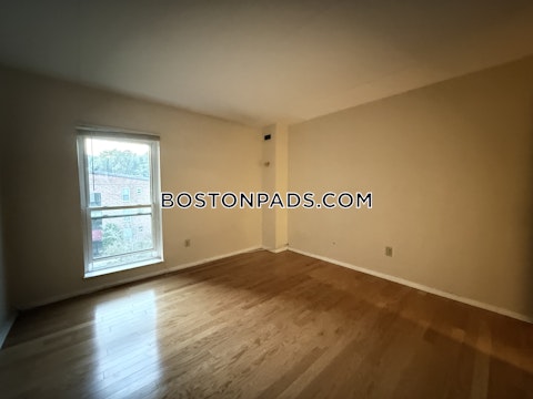 Broadlawn Park Boston photo 18