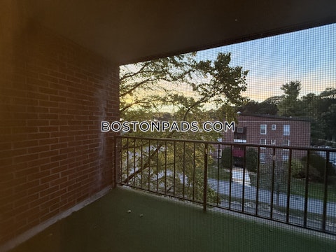 Broadlawn Park Boston photo 15