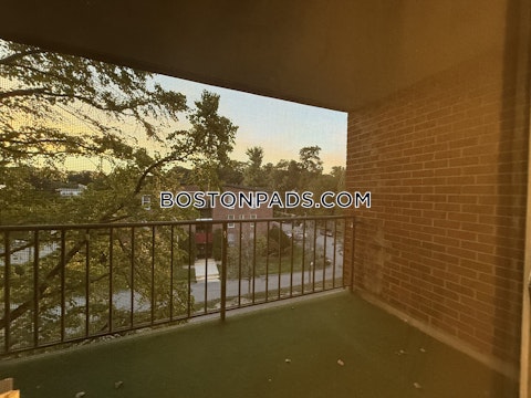 Broadlawn Park Boston photo 14