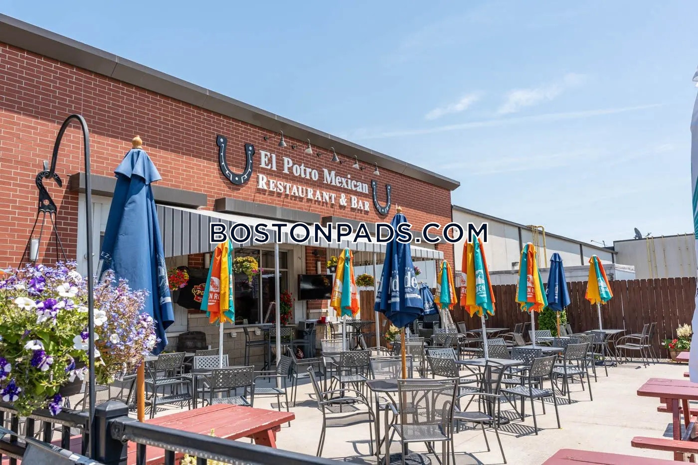 Chelsea - 1 Beds, 1 Baths