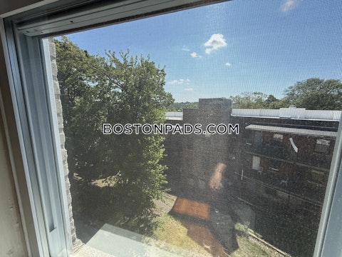 Egremont Rd. Boston photo 7