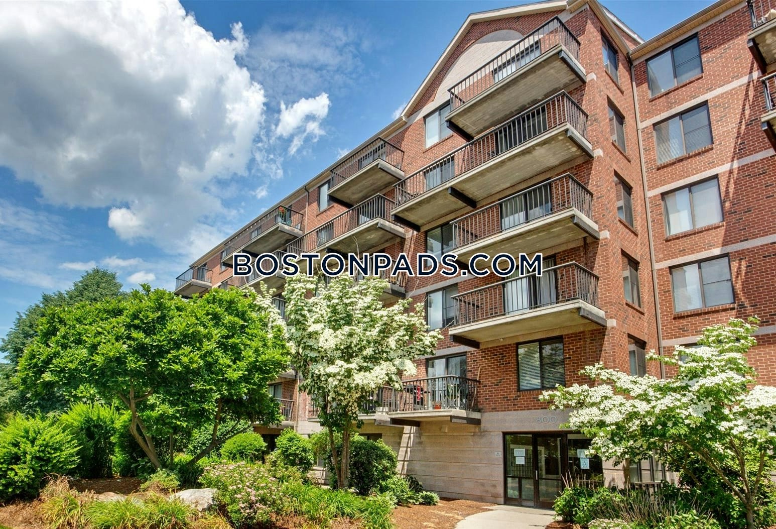 Bulfinch Dr. Andover