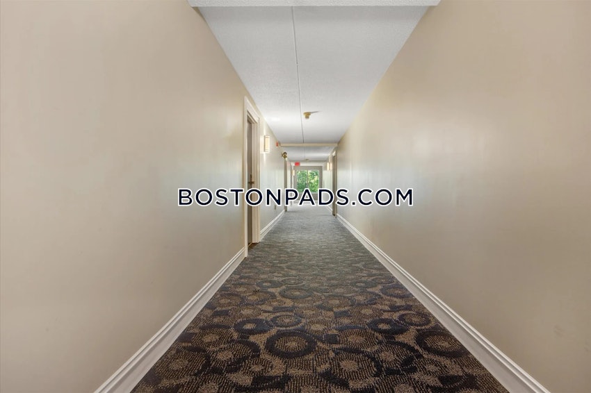 ANDOVER - 3 Beds, 1 Bath - Image 19