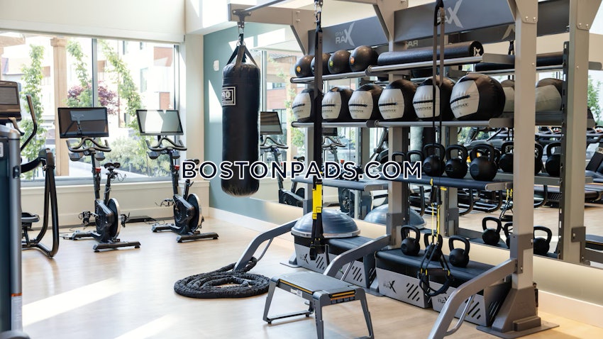 BOSTON - BRIGHTON- WASHINGTON ST./ ALLSTON ST. - 1 Bed, 1 Bath - Image 5