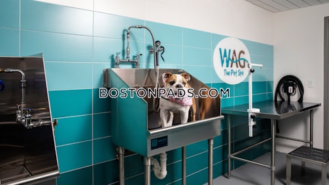 Washington St. Boston photo 26