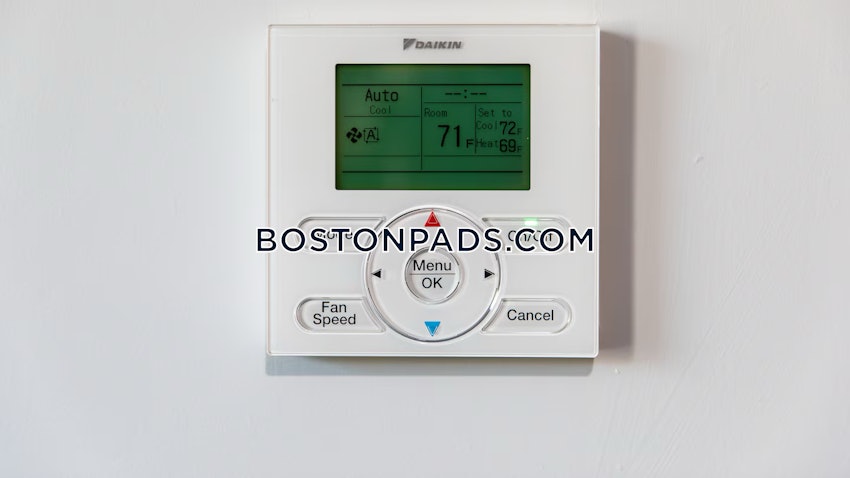 BOSTON - BRIGHTON- WASHINGTON ST./ ALLSTON ST. - 1 Bed, 1 Bath - Image 17