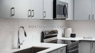 brighton-1-bed-1-bath-boston-3316-8011233