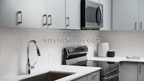 Brighton Apartment for rent 1 Bedroom 1 Bath Boston - $4,205 No Fee