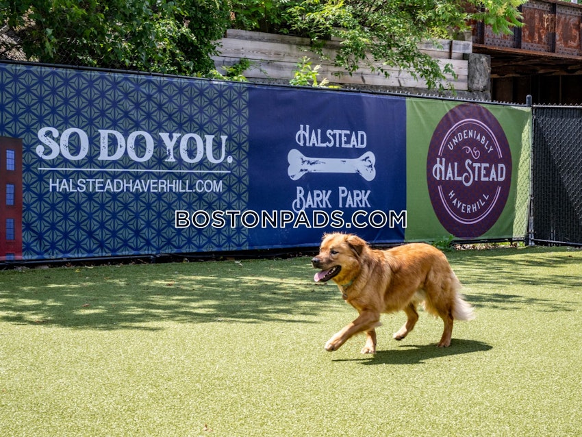 HAVERHILL - Studio , 1 Bath - Image 19