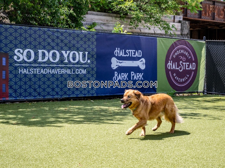 Locke St., Haverhill