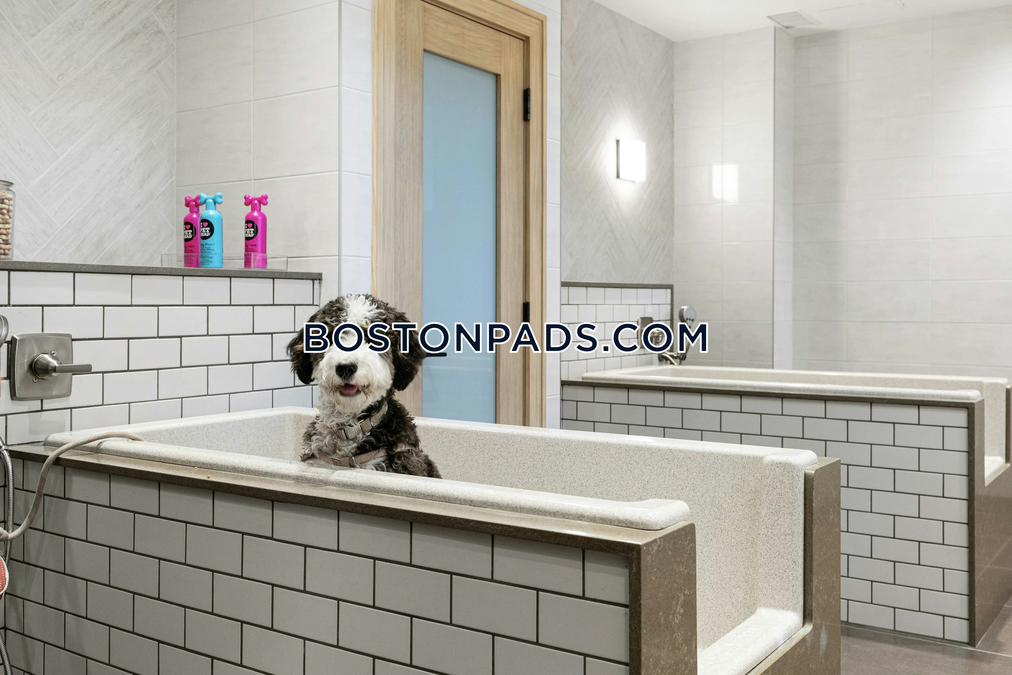 Barnstable - 2 Beds, 1 Baths