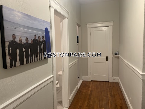 Commonwealth Ave. Boston photo 7