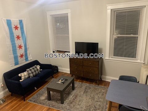 Commonwealth Ave. Boston photo 2