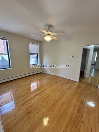 Massachusetts Ave. Cambridge