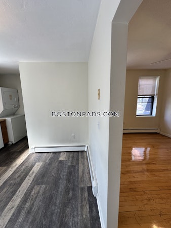 Massachusetts Ave. Cambridge