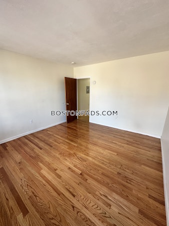 Massachusetts Ave. Cambridge