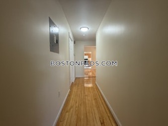 Massachusetts Ave. Cambridge