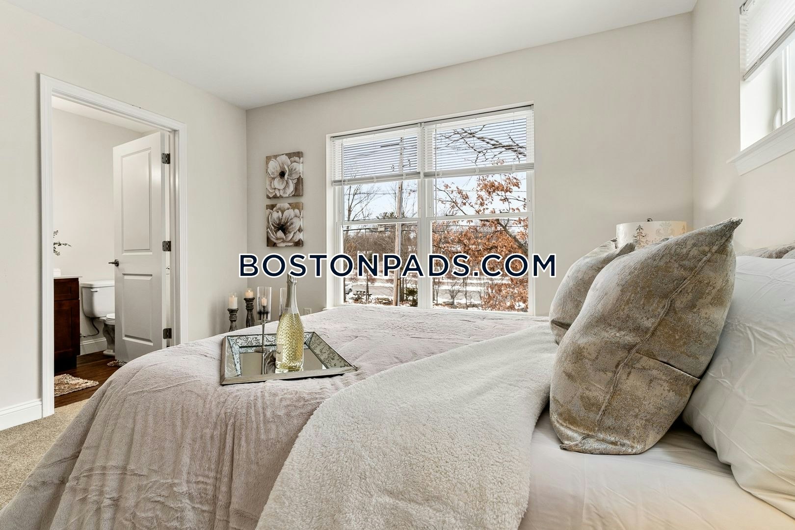 Littleton Rd. Chelmsford