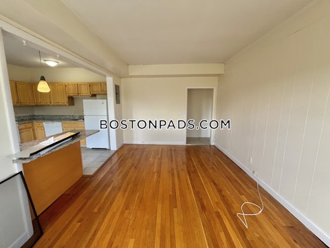 Commonwealth Ave. Boston photo 3