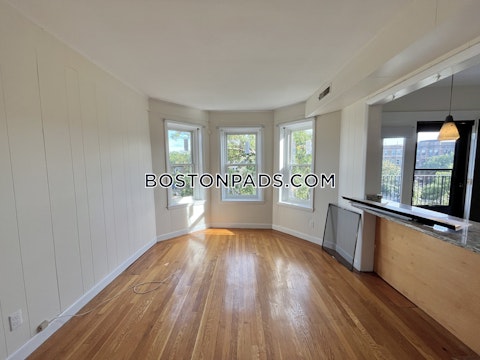 Commonwealth Ave. Boston photo 11