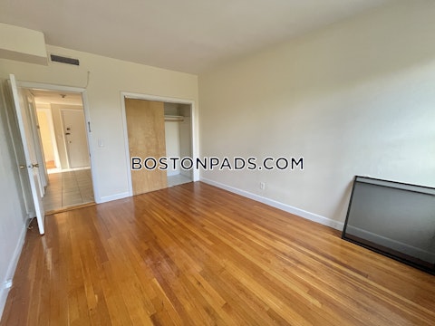 Commonwealth Ave. Boston photo 23