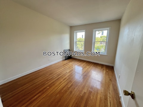 Commonwealth Ave. Boston photo 22