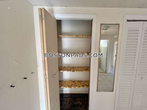 Commonwealth Ave. Boston photo 15