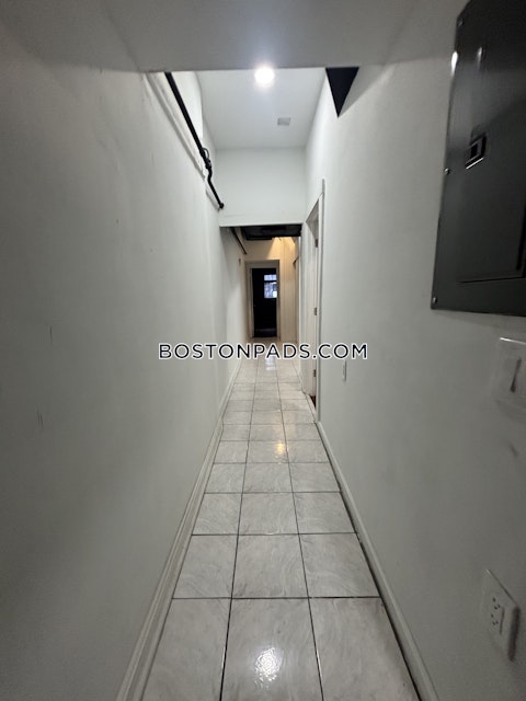 Commonwealth Ave. Boston photo 5