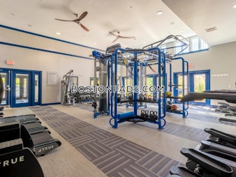 Forsyth Dr. Abington