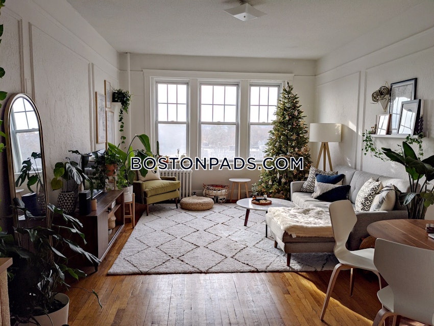 BOSTON - BRIGHTON- WASHINGTON ST./ ALLSTON ST. - 2 Beds, 1 Bath - Image 1