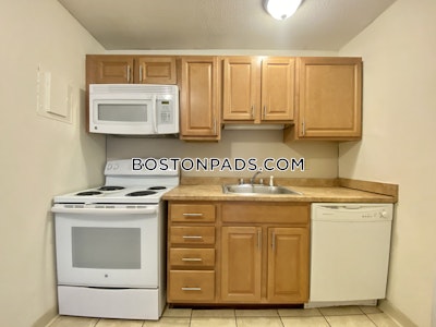 Allston Apartment for rent 2 Bedrooms 1 Bath Boston - $3,200 No Fee