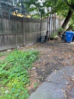 Mount Auburn St., Cambridge