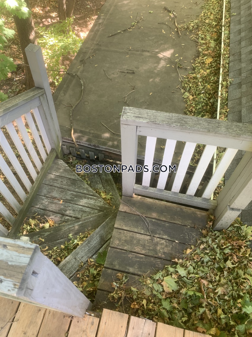 BOSTON - JAMAICA PLAIN - STONY BROOK - 3 Beds, 1 Bath - Image 41