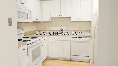 Downtown Apartment for rent 1 Bedroom 1 Bath Boston - $3,100