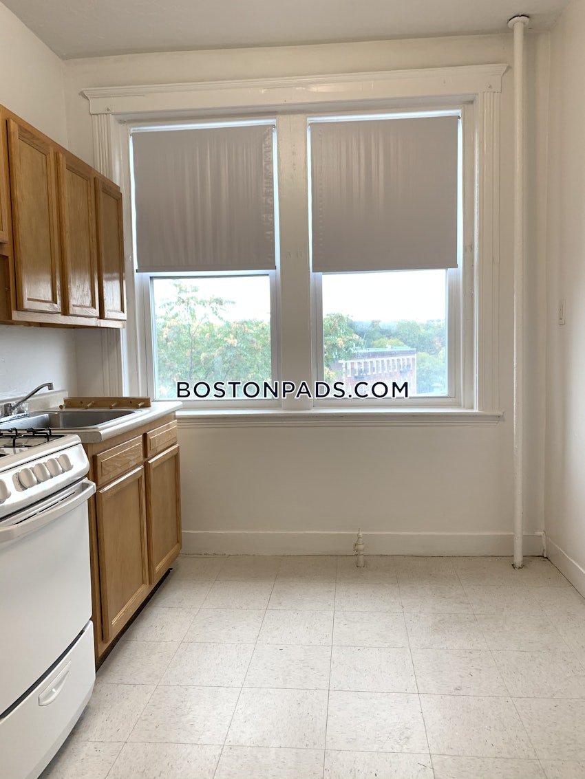 BOSTON - BRIGHTON - CLEVELAND CIRCLE - 1 Bed, 1 Bath - Image 7