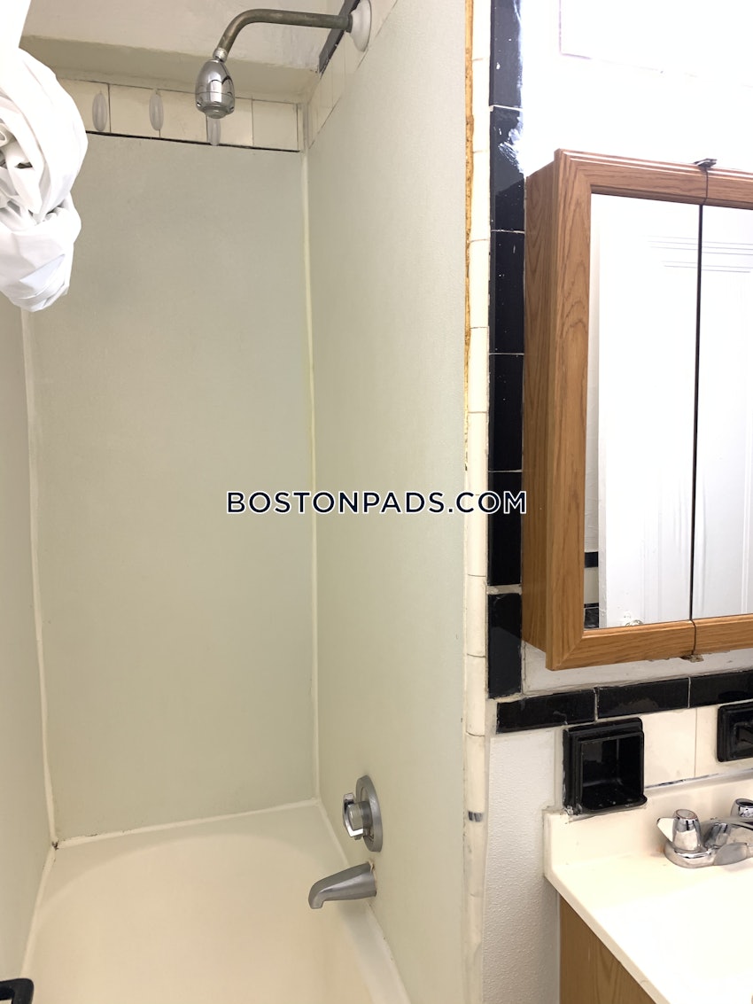 BOSTON - BRIGHTON - CLEVELAND CIRCLE - 1 Bed, 1 Bath - Image 47