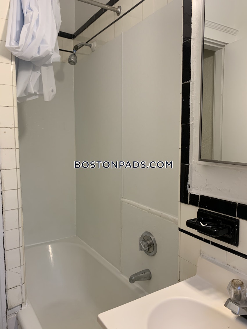 BOSTON - BRIGHTON - CLEVELAND CIRCLE - 1 Bed, 1 Bath - Image 82