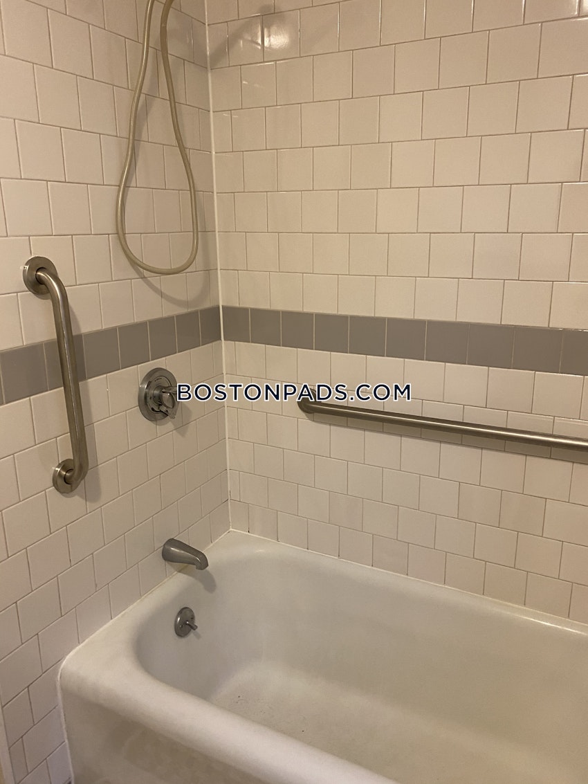 BOSTON - JAMAICA PLAIN - JAMAICA POND/PONDSIDE - 2 Beds, 1 Bath - Image 9