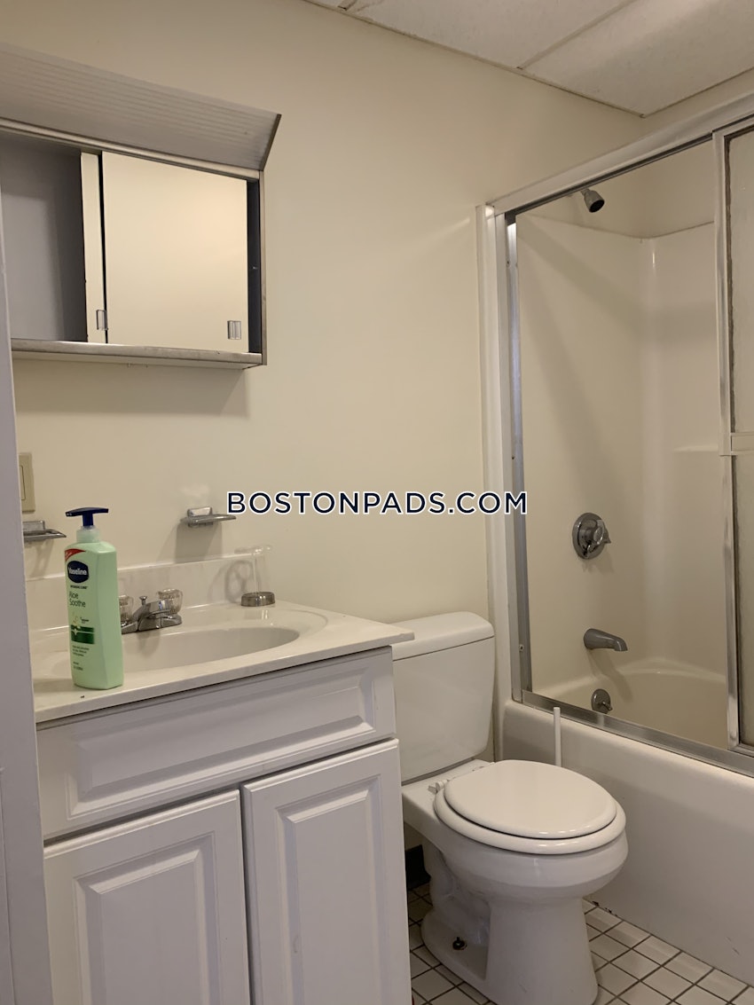 BOSTON - DOWNTOWN - 1 Bed, 1 Bath - Image 17