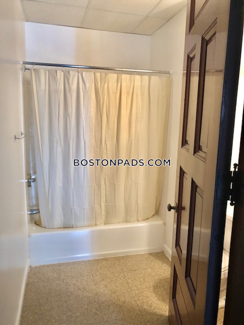 BROOKLINE- BOSTON UNIVERSITY - 1 Bed, 1 Bath - Image 8