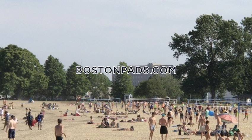 BOSTON - SOUTH BOSTON - ANDREW SQUARE - 1 Bed, 1 Bath - Image 32