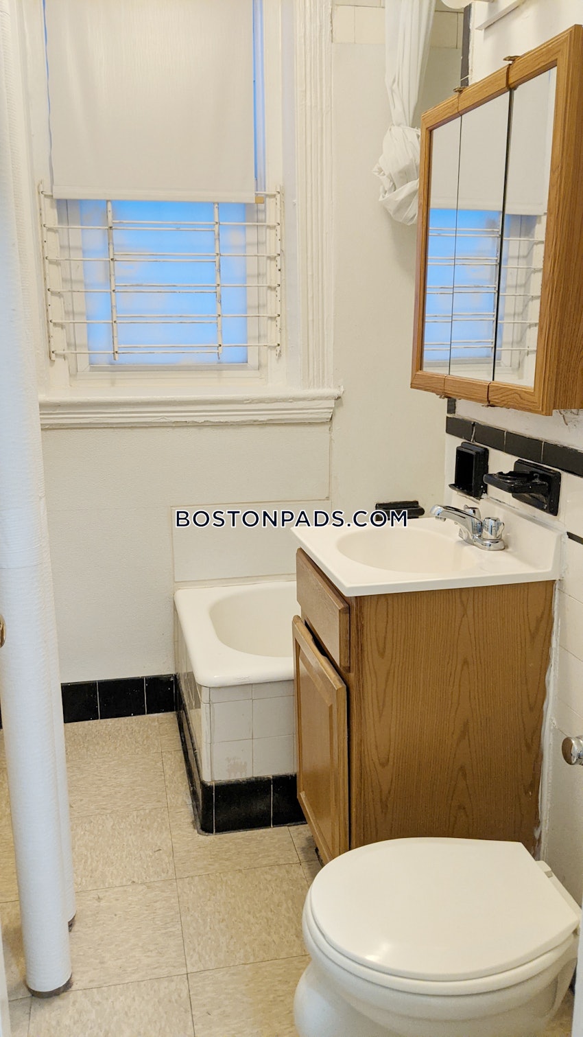 BOSTON - BRIGHTON - CLEVELAND CIRCLE - 1 Bed, 1 Bath - Image 48