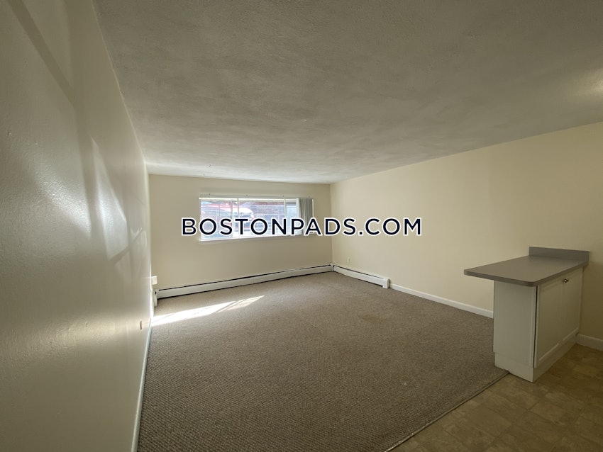 BOSTON - ALLSTON - 1 Bed, 1 Bath - Image 4