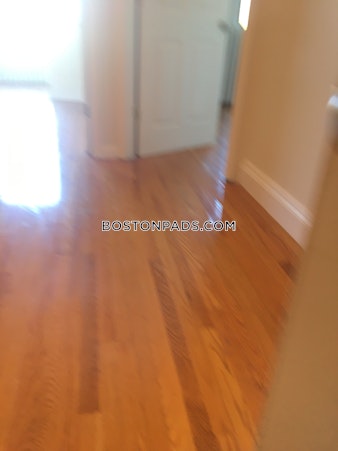 Bay State Rd. Boston