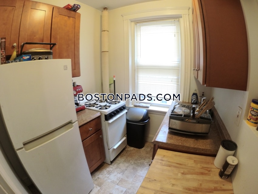 BOSTON - ALLSTON/BRIGHTON BORDER - Studio , 1 Bath - Image 5