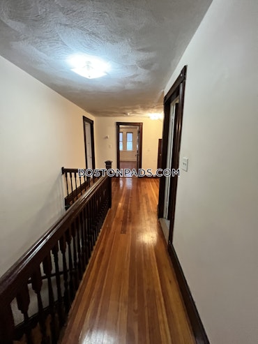 Boston - 3 Beds, 1 Baths